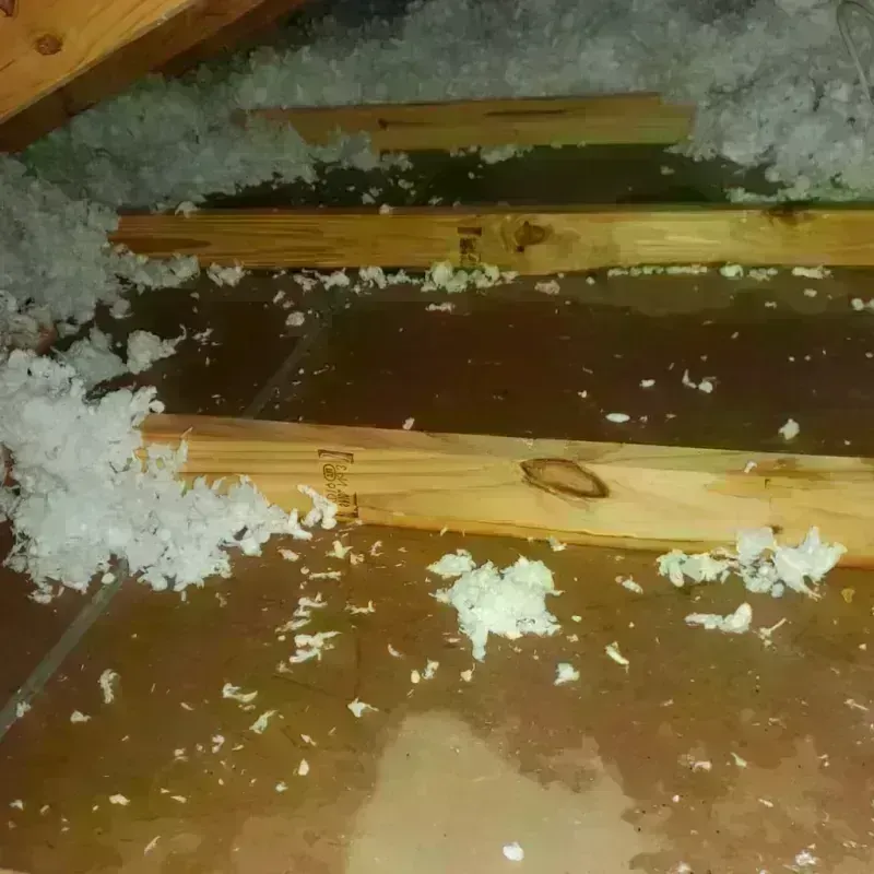 Attic Water Damage in Catawba, SC